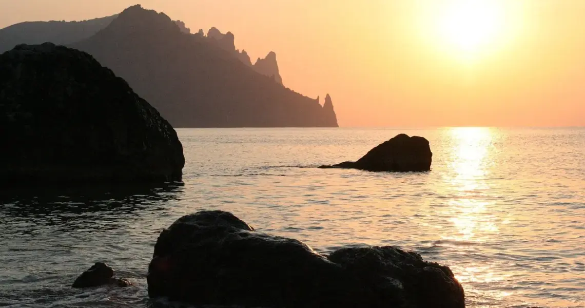 Kan elefanthuer også bruges af voksne?