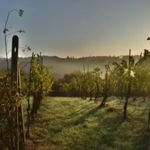 Sådan får du den bedste campingferie i Toscana -  5 gode råd